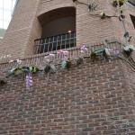 OTRA2014_0853 (August 29, 2014)